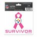 Pittsburgh Steelers Breast Cancer Survivor Window Cling 3 in. 4 in. - Pink Ribbon Women's Breast Cancer Awareness A Portion of the Sale of this Product will be Donated to Cancer Research - Window Cling Ultra Decal for Your Car, Home, Locker, or Anywhere - 75733091
