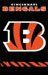 Cincinnati Bengals NFL Team Logo Premium Oversized 2-Sided Applique and Embroidered Vertical Banner Flag 44 in. X 28 in. - Premium Quality Applique and Embroidered 2-Sided Heavyweight Weather Resistant 420 Denier Nylon - Hangs on a Pole or from Hanging Tabs - AFBE