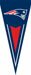 New England Patriots NFL Team Logo Appliqued and Embroidered Indoor/Outdoor Nylon Pennant 34 in. X 14 in. - Premium Quality Wall, Garage, Yard, Indoor, Outdoor, or Anywhere - Tabs Make it Easy to Hang - PTNE