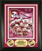 2008-2009 Arizona Cardinals Super Bowl XLIII 43 NFC Champions Photo Collage w/24Kt Gold Overlay Coins PhotoMint Professionally Framed and Matted - Great Gift! Limited Edition 1 of 2008 - 13 in. X 16 in. - Super Bowl 43 XLIII - NFL Football Photo Collage w/Coins Framed Ready to Hang in Home, Dorm Room, Office, or Bar!
