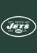 New York Jets Premium Quality NFL Football Team Appliqued and Embroidered Mini Garden, Window, or Car Mini Banner Flag 15 in X 10.5 in - Applique and Embroidered Mini Flag for your Home, Garage, Garden, Yard, Window, or Car Window - Package Includes Window Hanger - GFJE