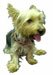 Washington Redskins NFL Dog or Pet Collar Nice Heavy Duty Collar - Treat Your Pet!