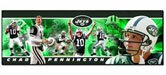 NFL Football Team Sports Panoramic 12x36 Photo Collectible