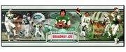 New York Jets Joe Namath Broadway Joe Collage NFL Football Sports Photo 12x36 Photo Collectible 12 in. X 36 in. High Quality Glossy Color Panoramic NFL Football Sports Player Photo Collectable