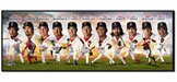 Boston Red Sox Team Collage MLB Baseball Sports Photo 12x36 Photo Collectible 12 in. X 36 in. High Quality Glossy Color Panoramic MLB Baseball Collectable Sports Photo