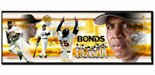 San Francisco Giants Barry Bonds Collage MLB Baseball Sports Photo 12x36 Photo Collectible 12 in. X 36 in. High Quality Glossy Color Panoramic MLB Baseball Collectable Sports Photo