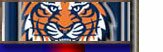 Detroit Tigers MLB Baseball Licensed Merchandise & Collectables