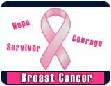 Denver Broncos NFL Football Logo Women's Breast Cancer Awareness Merchandise