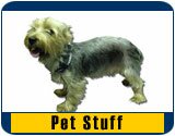 List All San Diego Chargers Pet Merchandise