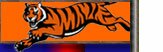 Cincinnati Bengals Licensed Merchandise & Collectables