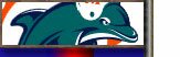 Miami Dolphins NFL Football Licensed Merchandise & Collectables