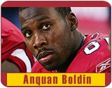 Anquan Boldin Arizona Cardinals Collectible Merchandise