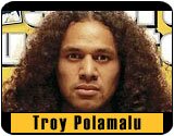 Troy Polamalu Collectible Merchandise