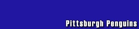 Pittsburh Penguins NHL Hockey Official Licensed Sports Merchandise